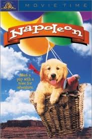 Napoleón, El Perrito Aventurero (1995) poster